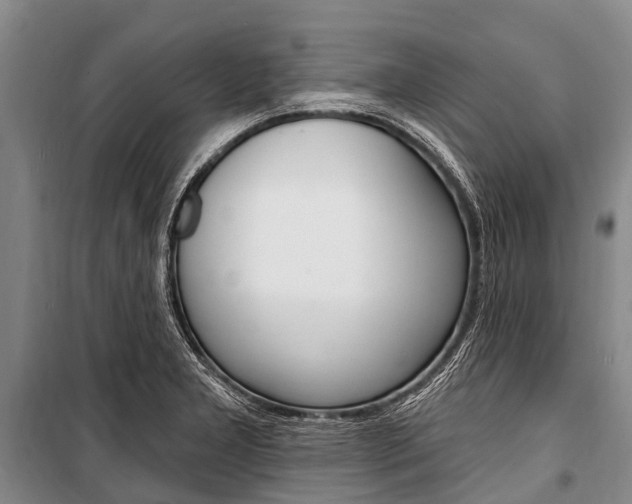 X0000101211277200806270845