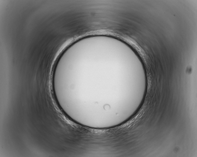 X0000101211278200806270845