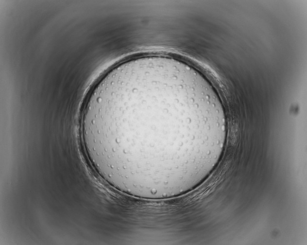 X0000101211279200806270845