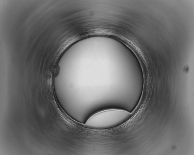 X0000101211281200806270845