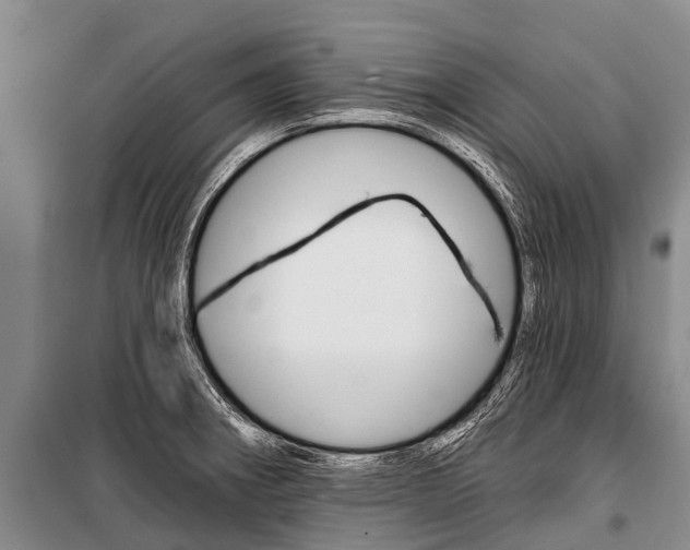 X0000101211282200806270845