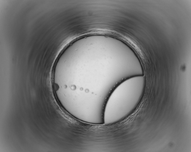 X0000101211283200806270845