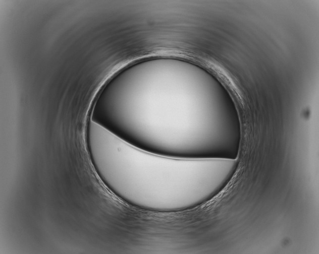 X0000101211284200806270845