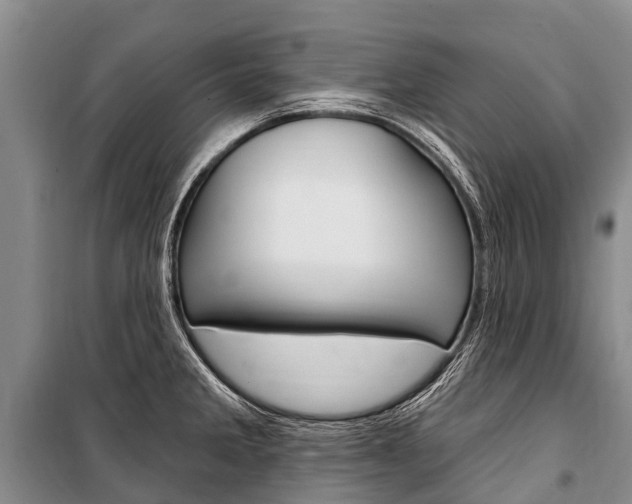 X0000101211285200806270845