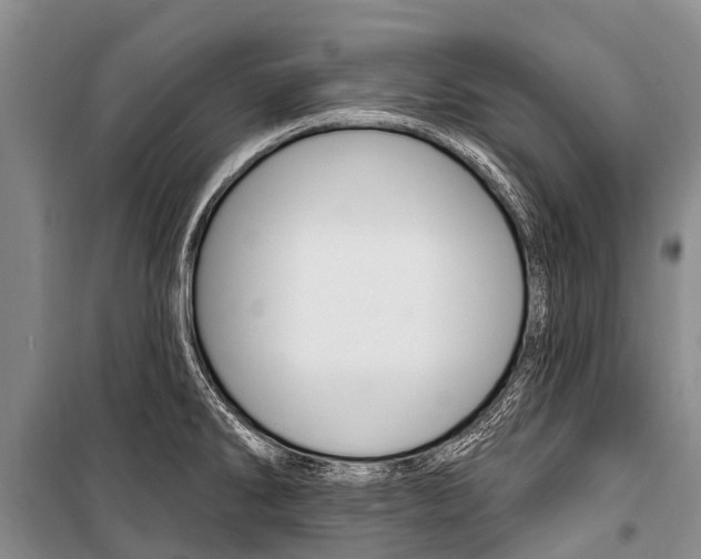 X0000101211286200806270844