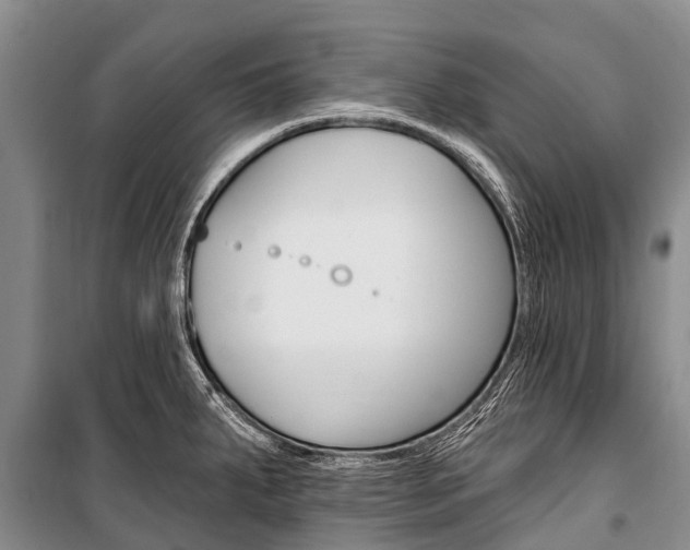 X0000101211287200806270844