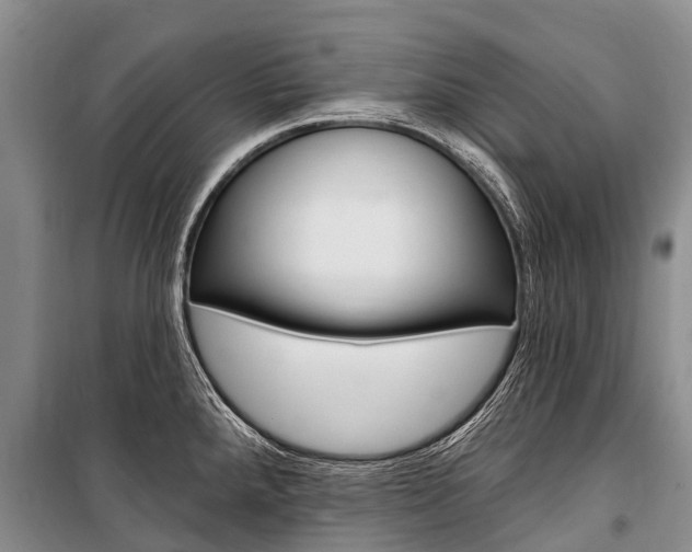 X0000101211288200806270844