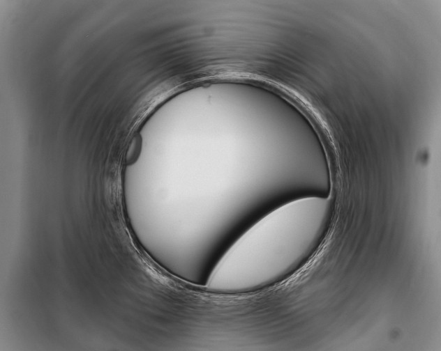 X0000101211289200806270844
