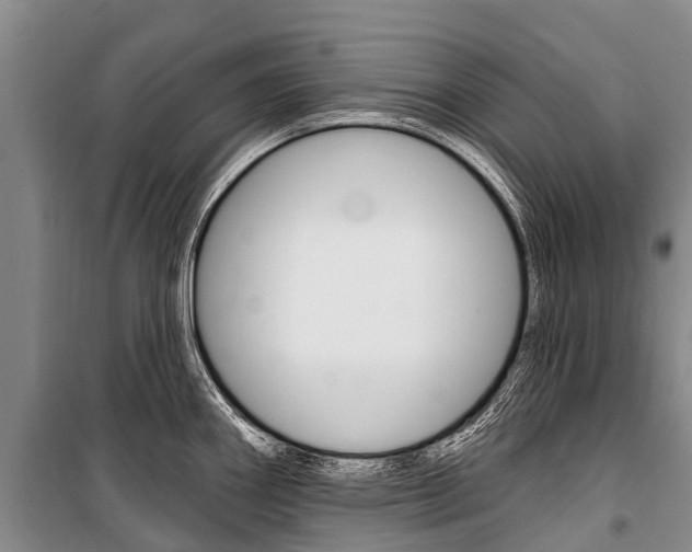 X0000101211290200806270844