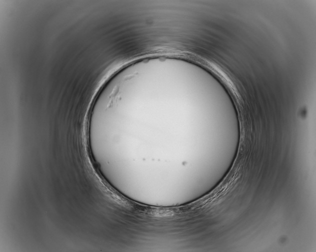 X0000101211291200806270844