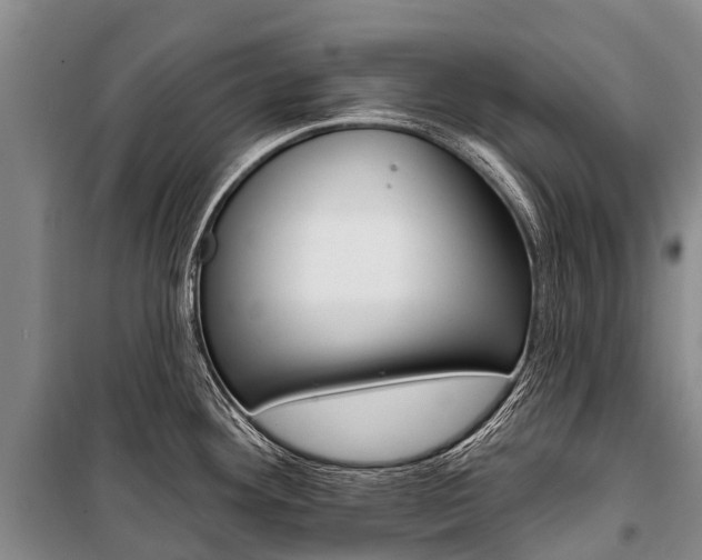 X0000101211292200806270844