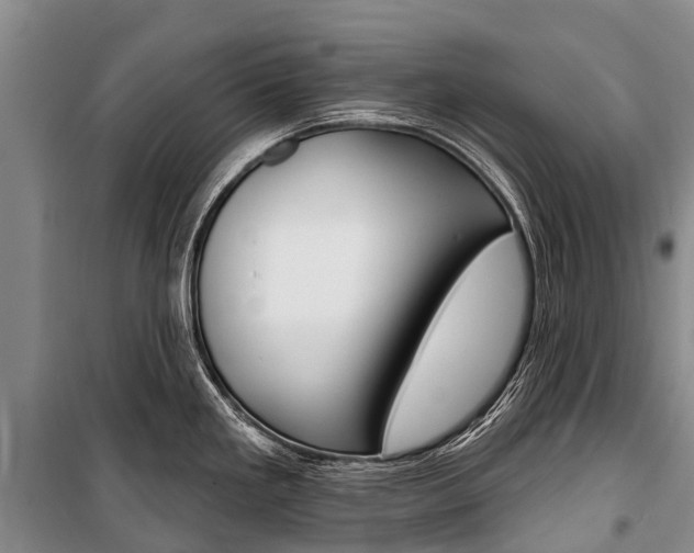 X0000101211293200806270844