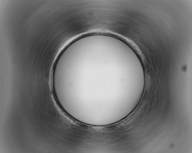 X0000101211295200806270844