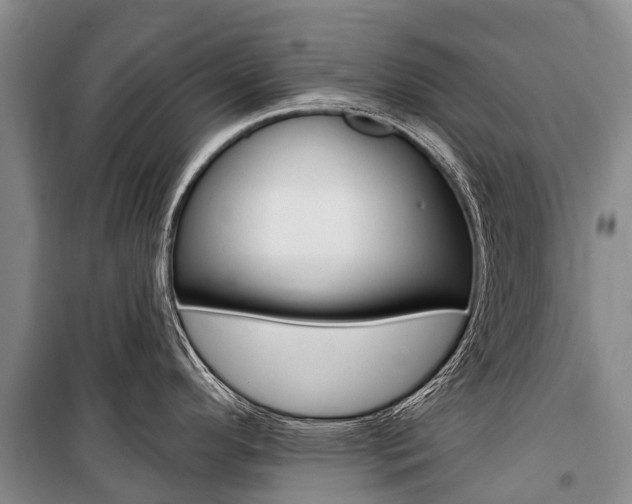 X0000101211296200806270844