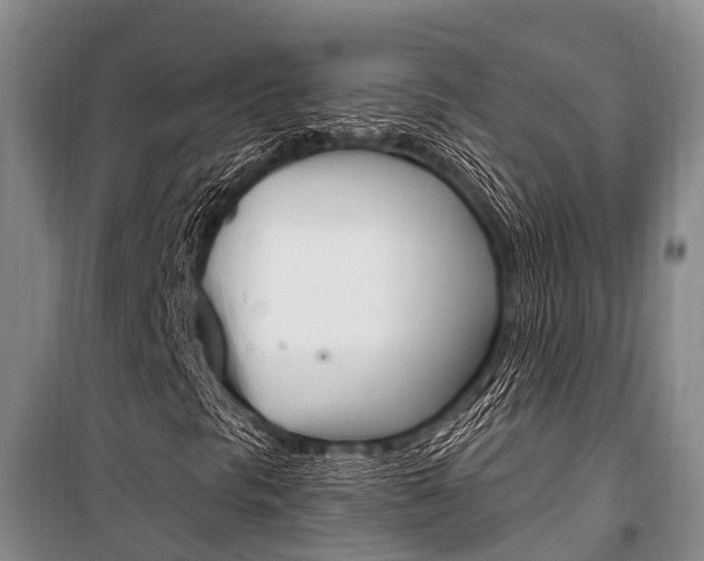 X0000101211297200806270844
