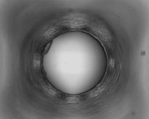 X0000101211300200806270844