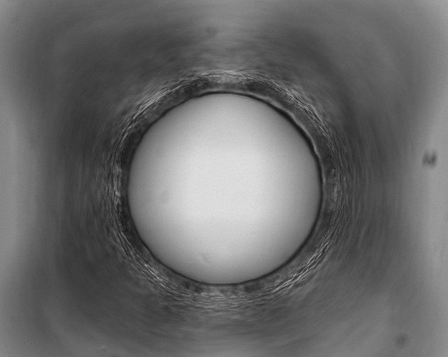 X0000101211301200806270844