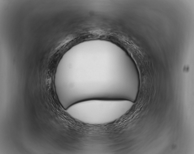X0000101211302200806270844