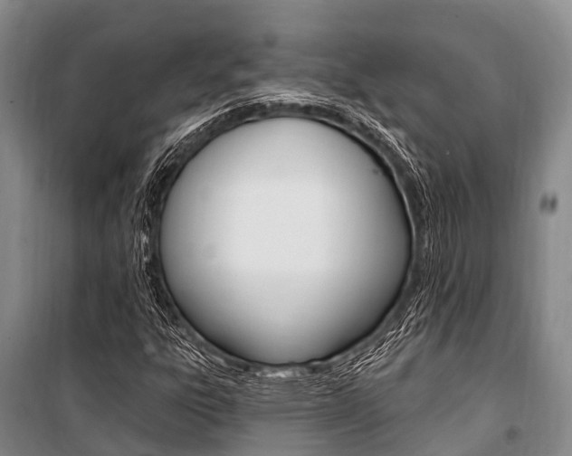 X0000101211303200806270844