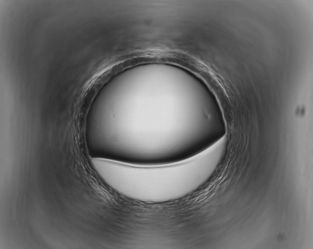 X0000101211304200806270844