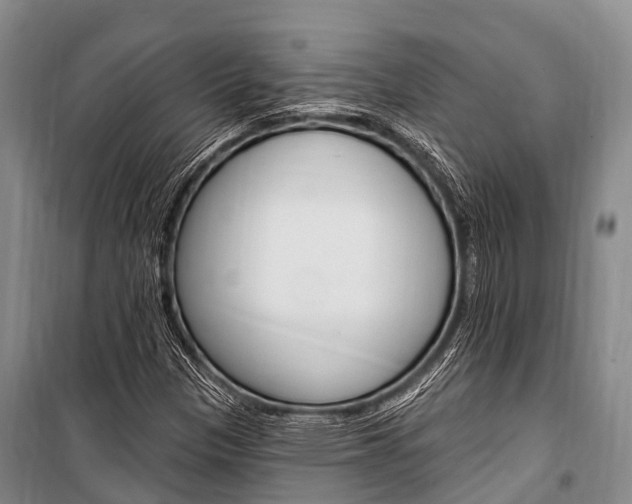 X0000101211305200806270844