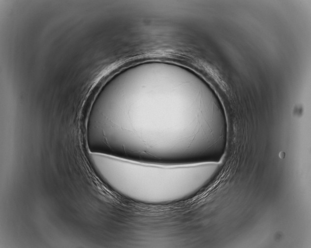 X0000101211308200806270844