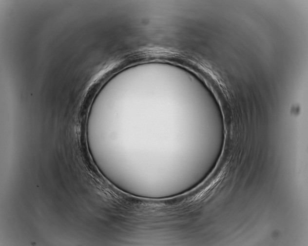 X0000101211309200806270844