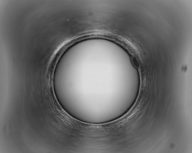 X0000101211310200806270844