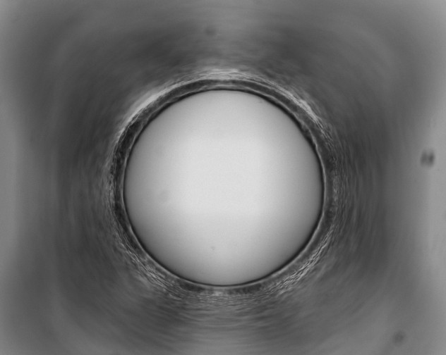 X0000101211311200806270844