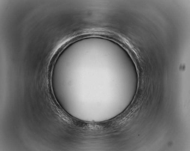 X0000101211312200806270844