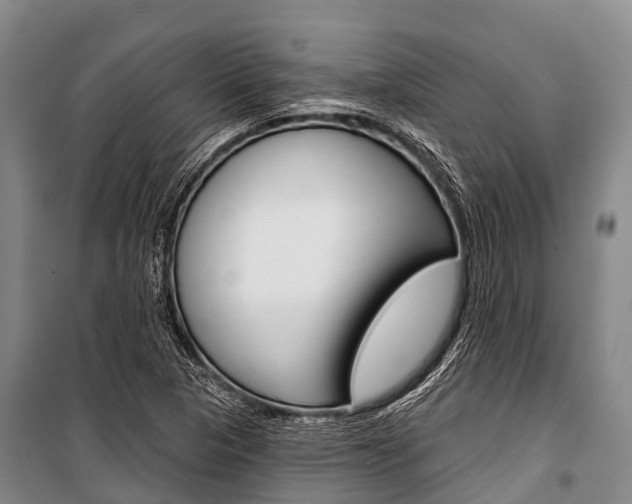 X0000101211313200806270844