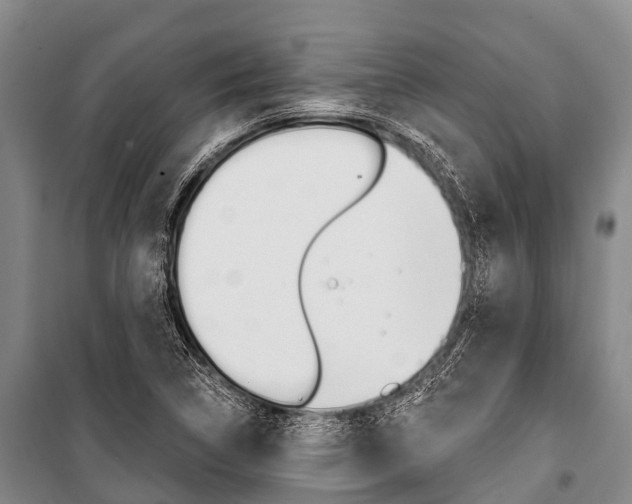 X0000101211314200806270844