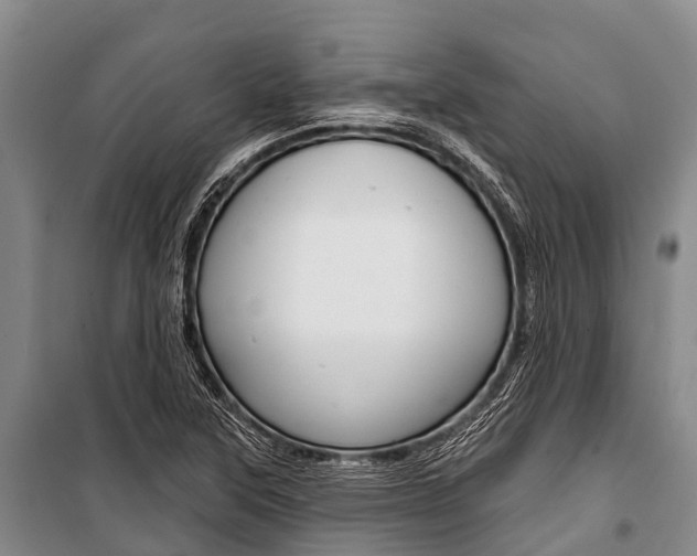 X0000101211315200806270844