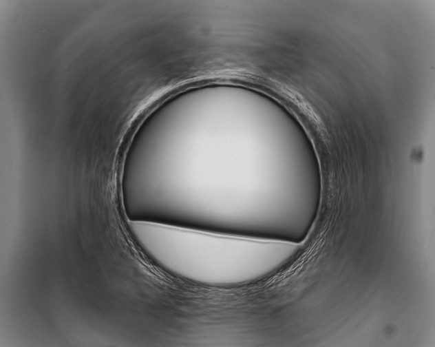 X0000101211316200806270844
