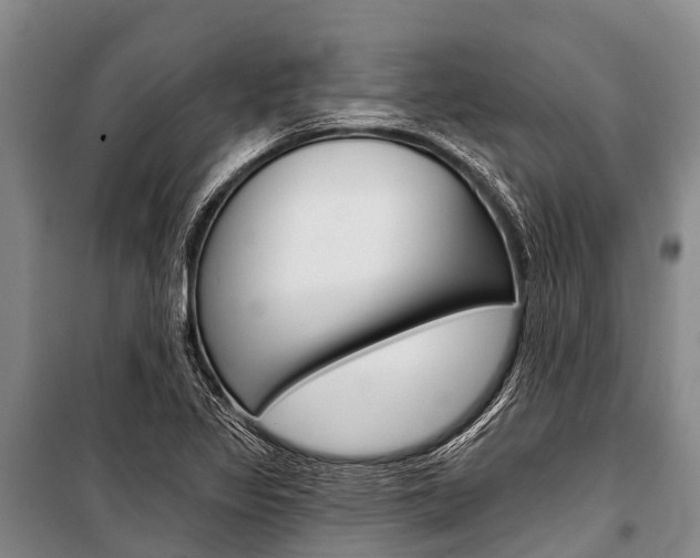 X0000101211317200806270844