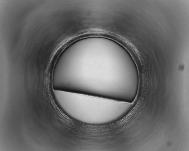 X0000101211318200806270844