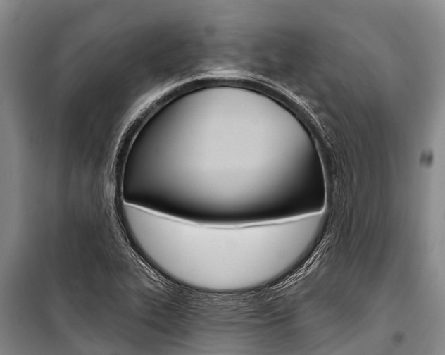 X0000101211319200806270844
