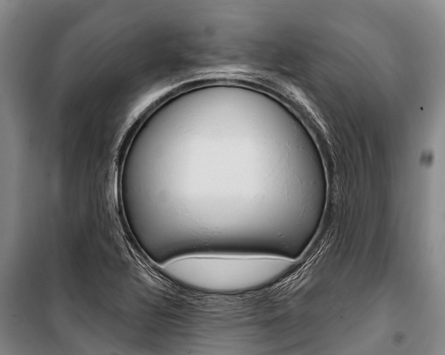X0000101211320200806270844