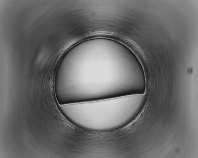 X0000101211321200806270844