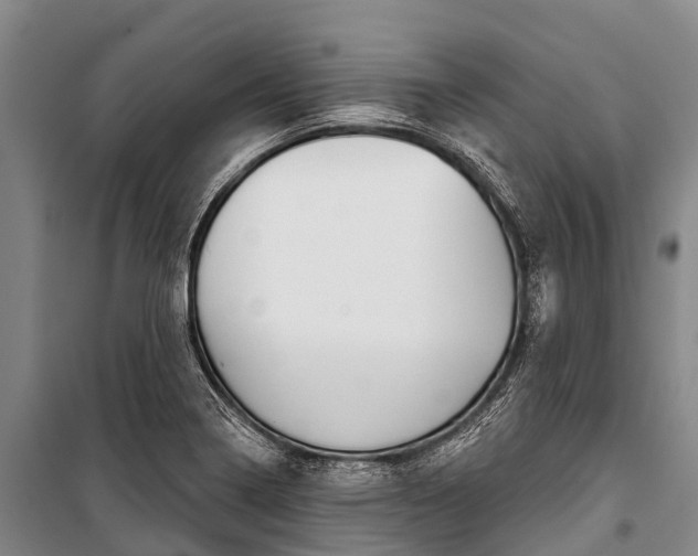 X0000101211322200806270844