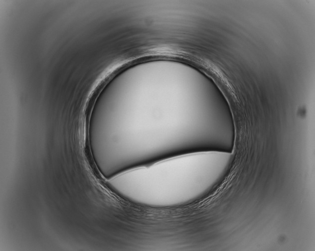 X0000101211323200806270844