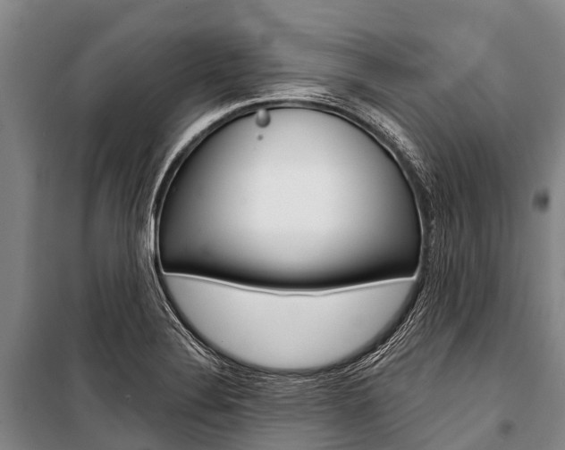 X0000101211324200806270844