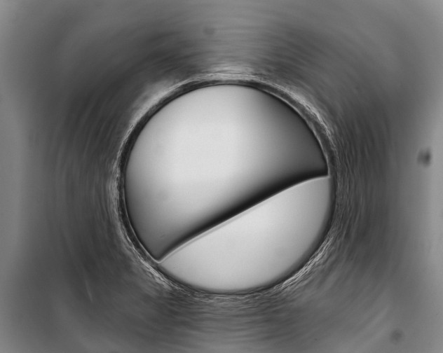 X0000101211325200806270844