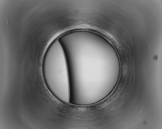 X0000101211326200806270844