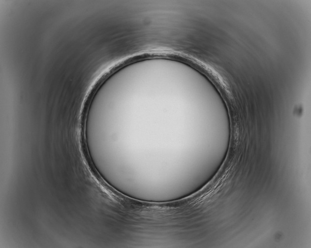 X0000101211327200806270844