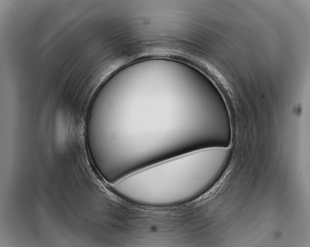 X0000101211329200806270844
