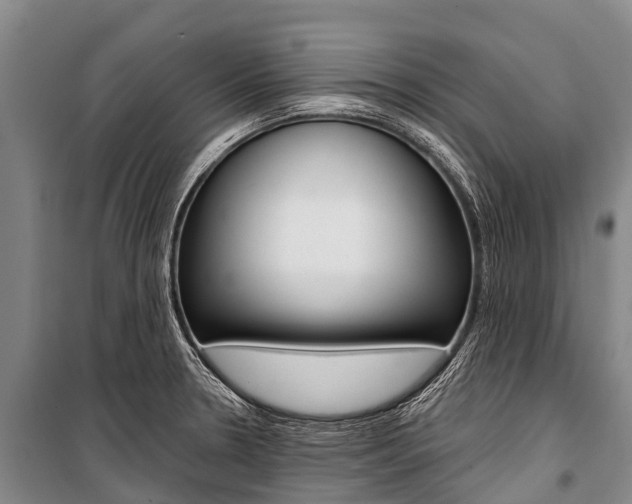 X0000101211330200806270844