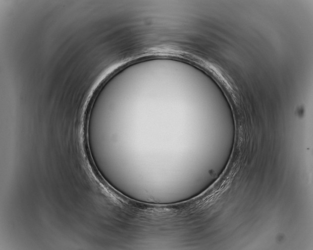 X0000101211331200806270844