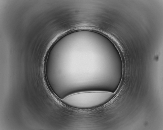 X0000101211333200806270844