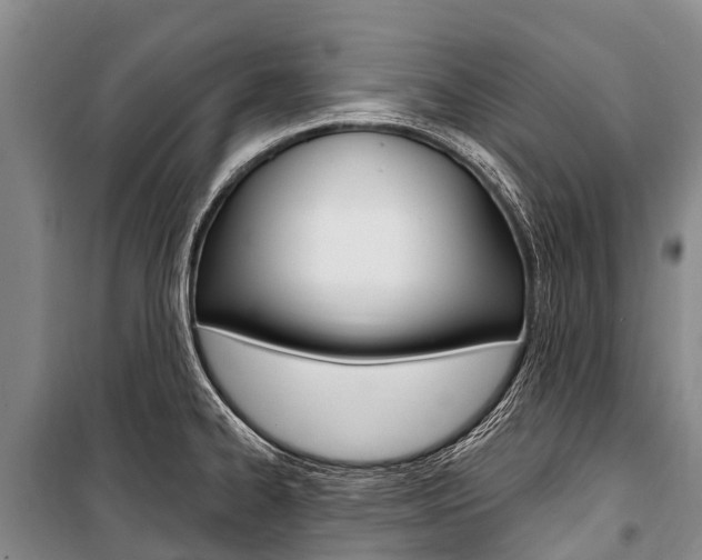 X0000101211334200806270844